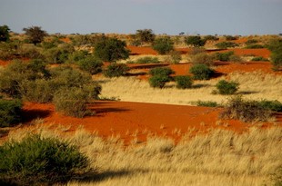 066 Namibia Okt 2006 .JPG